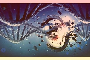 世邦魏理仕：机构化长租公寓发展进入快车道